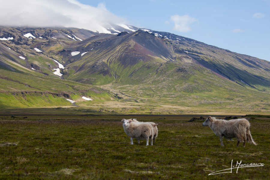 photo-islande-034