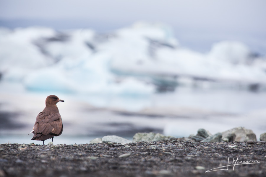 photo-islande-044