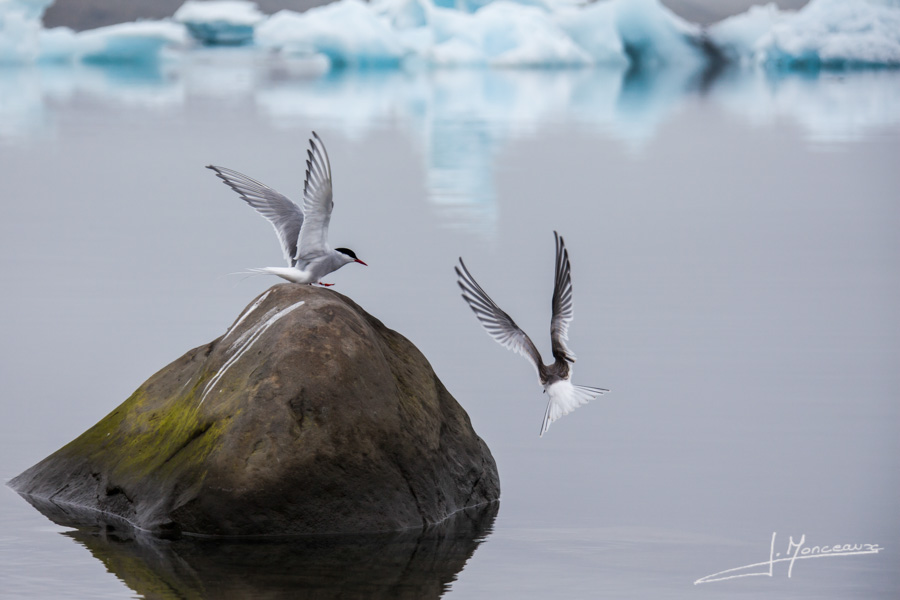 photo-islande-047