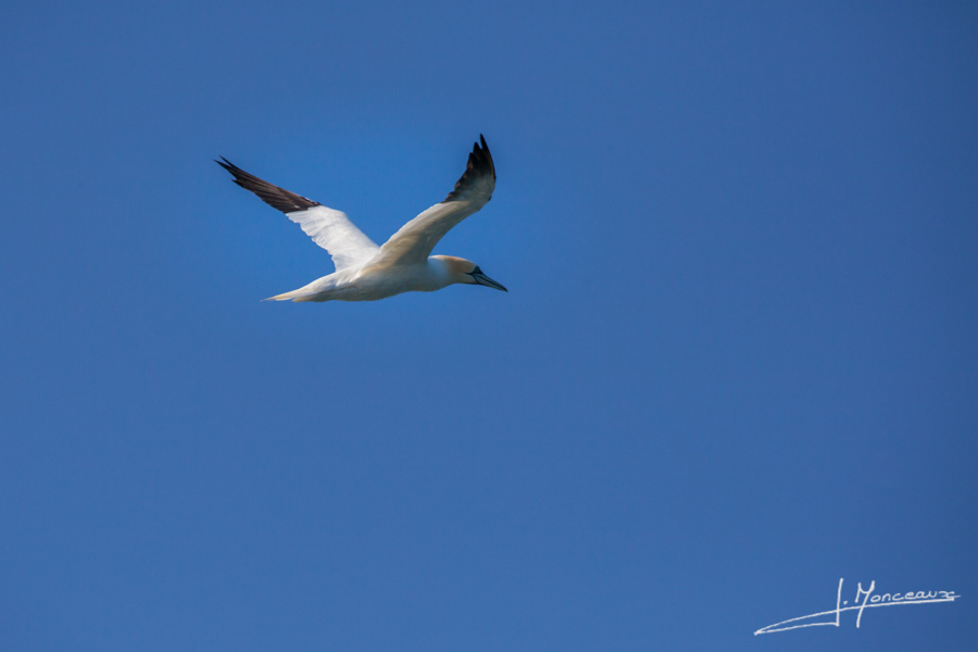 photo-islande-059