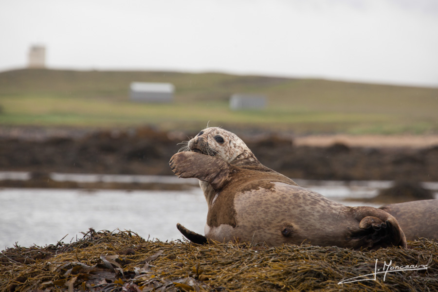 photo-islande-060